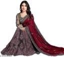 Sana Silk Net Saree